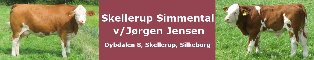 header6.jpg